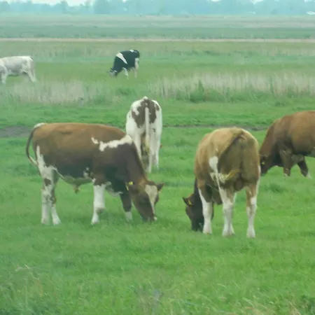 Apartament Haubarg Pernoerhof