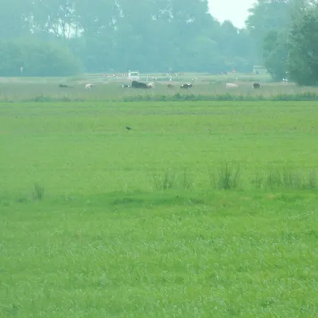 Apartament Haubarg Pernoerhof *