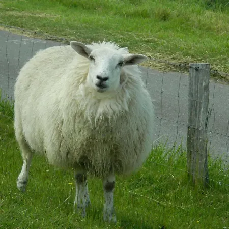 Haubarg Pernoerhof Apartament Tönning