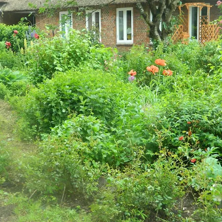 Haubarg Pernoerhof Apartment